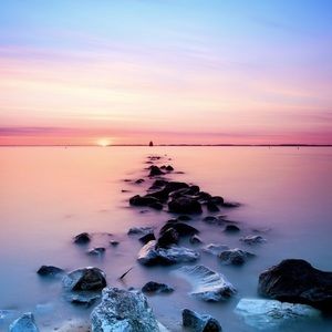 Meet your Posher, Elle